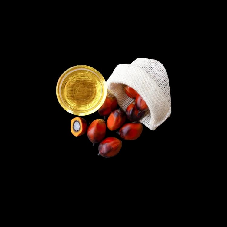 Crude Palm Oil (CPO)