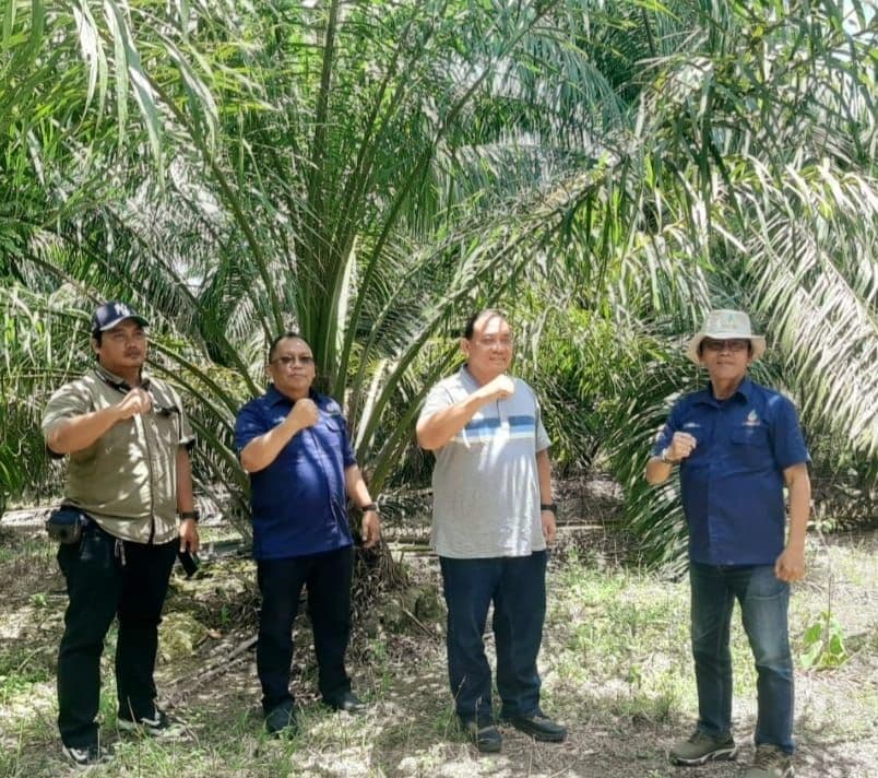Optimalisasi Aset Negara di Jantung Borneo: PT Agrinas Palma Nusantara (Persero) Kunjungi Lahan PKH di Paser