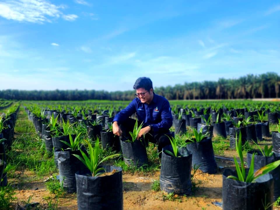 Merawat Bumi di Hari Pohon Sedunia: Komitmen Agrinas Palma Nusantara terhadap Energi Hijau