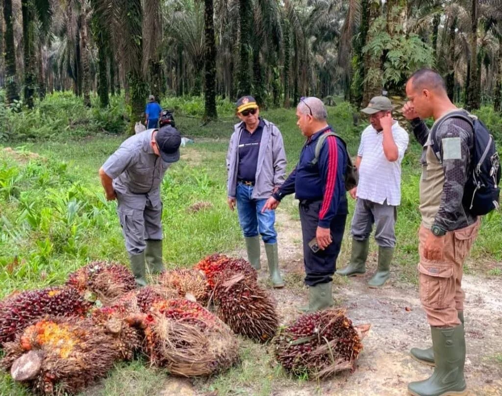 Jaga Energi di Lapangan, Ini Tips Makanan Bergizi untuk Karyawan dan Pekerja Kebun