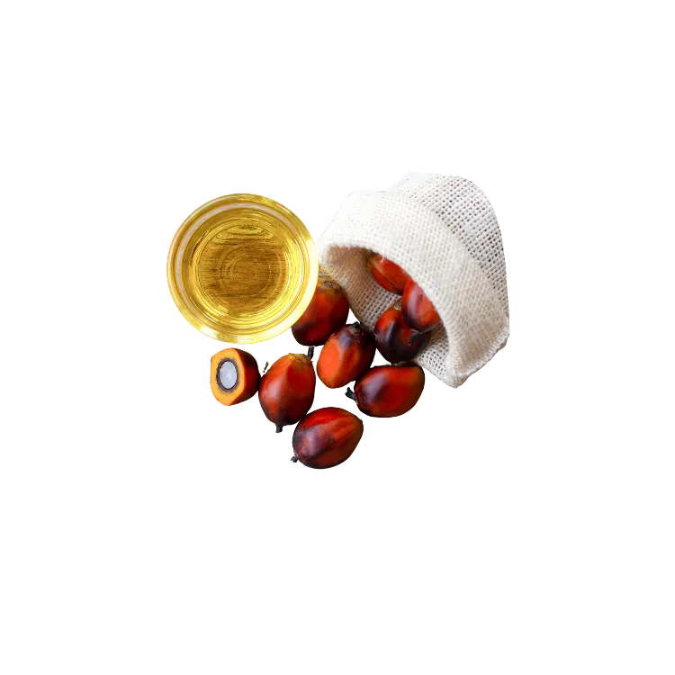 Crude Palm Oil (CPO)