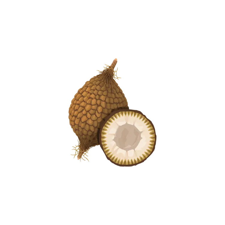 Palm Kernel (PK)